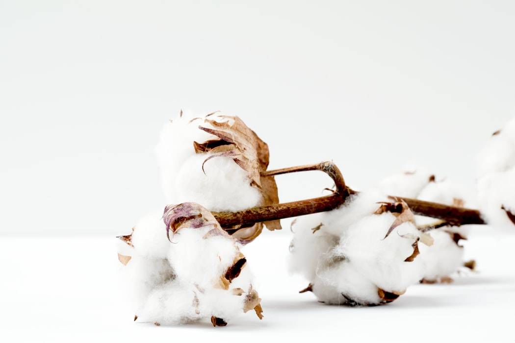 CUPRO: Rediscovering Sustainable Fabrics