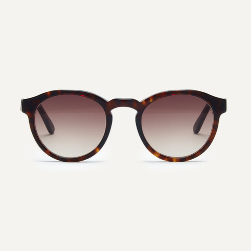 sunglasses lich havana sunglasses by pala